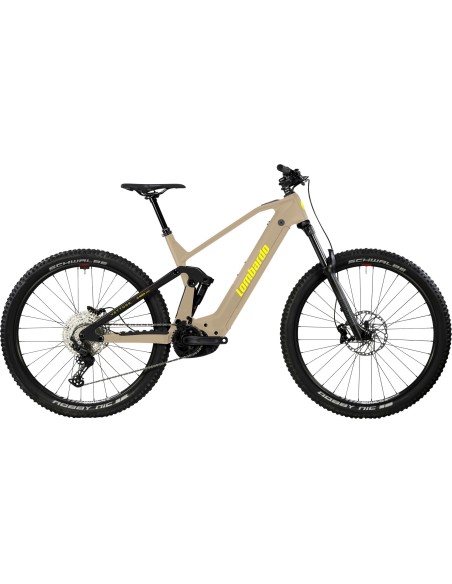 Vettore 29