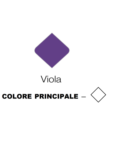 BICI DA DONNA LINEA OLANDA BICICLETTA CITY BIKE OL26 SENZA CAMBIO 1V COMPLETA DI ACCESSORI CON LUCI A LED