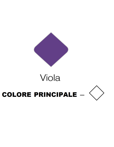 BICI DA DONNA LINEA OLANDA BICICLETTA CITY BIKE OL26 SENZA CAMBIO 1V COMPLETA DI ACCESSORI CON LUCI A LED