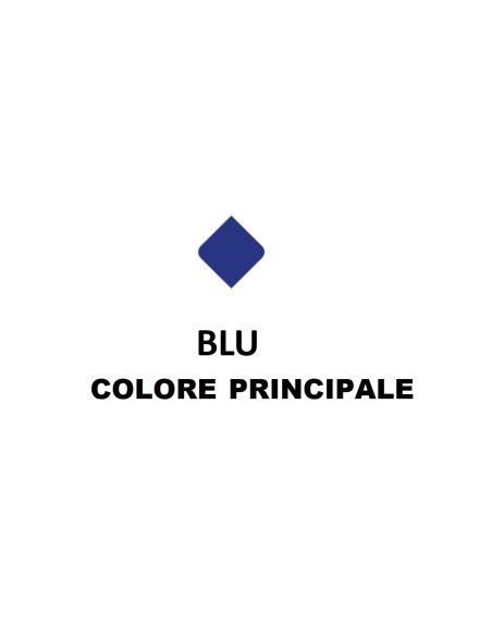 BICI OLANDA 28 UOMO