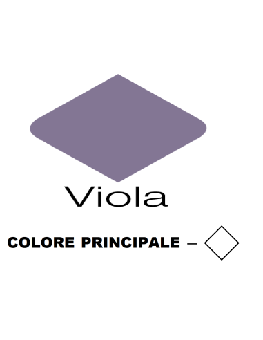 BICI VENERE 26x1 3/8 6V