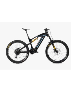 Focarini  CATRIA 1701 - ASKOLL 2