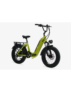BICI ELETTRICA FAT BIKE MISURA 20 E-BIKE Focarini Panda BICICLETTA OMOLOGATA MOTORE 250W 48V BATTERIA INTEGRATA 13,5AH