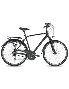 CICLO 420 PARTNER 48 ACERA 21V GRIGIO