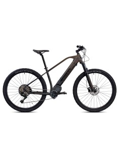 E-BIKE 29 40 N/ARAN.12V SH.OLI 36V17.5H 2