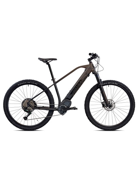 E-BIKE 29 40 N/ARAN.12V SH.OLI 36V17.5H
