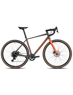 CICLO GRAVEL 48 APEX 1X11