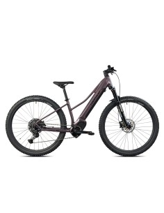 E-BIKE 971 29 40 CUES OLI 36V17.5 NEW