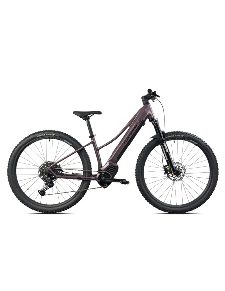 E-BIKE 971 29 40 CUES OLI 36V17.5 NEW