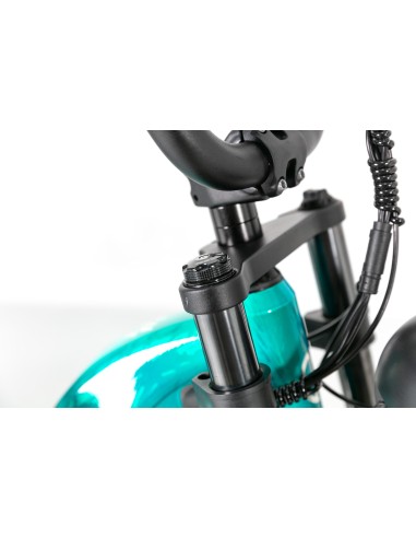 BICI E-BIKE MISURA 20 FAT BIKE JOBOBIKE VORTEX 48V 15AH 250W TELAIO IN ALLUMINIO DOPPIO AMMORTIZZATORE FRENI A DISCO IDRAULICI