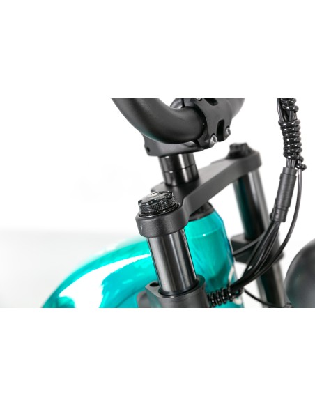 BICI E-BIKE MISURA 20 FAT BIKE JOBOBIKE VORTEX 48V 15AH 250W TELAIO IN ALLUMINIO DOPPIO AMMORTIZZATORE FRENI A DISCO IDRAULICI