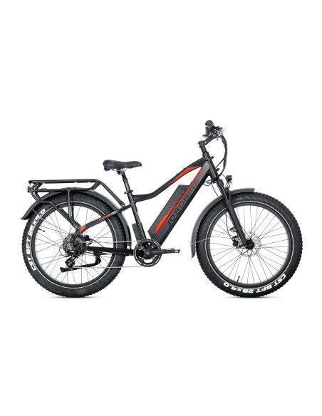 E-BIKE BICI ELETTRICA FAT BIKE MISURA 26 JOBOBIKE ROBIN PRO batteria al litio LG da 48V 20Ah MOTORE BAFANG 250W 80NM