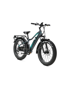 E-BIKE BICI ELETTRICA FAT BIKE MISURA 26 JOBOBIKE ROBIN PRO batteria al litio LG da 48V 20Ah MOTORE BAFANG 250W 80NM