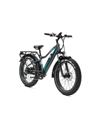 E-BIKE BICI ELETTRICA FAT BIKE MISURA 26 JOBOBIKE ROBIN PRO batteria al litio LG da 48V 20Ah MOTORE BAFANG 250W 80NM