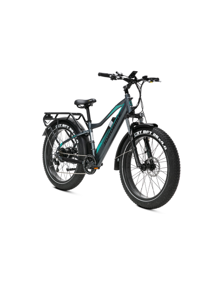 E-BIKE BICI ELETTRICA FAT BIKE MISURA 26 JOBOBIKE ROBIN PRO batteria al litio LG da 48V 20Ah MOTORE BAFANG 250W 80NM