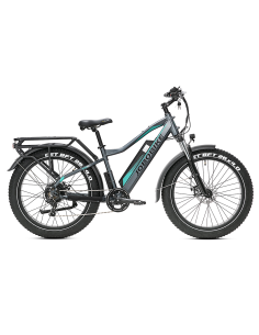 E-BIKE BICI ELETTRICA FAT BIKE MISURA 26 JOBOBIKE ROBIN PRO batteria al litio LG da 48V 20Ah MOTORE BAFANG 250W 80NM 2