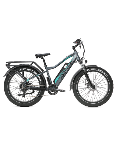E-BIKE BICI ELETTRICA FAT BIKE MISURA 26 JOBOBIKE ROBIN PRO batteria al litio LG da 48V 20Ah MOTORE BAFANG 250W 80NM