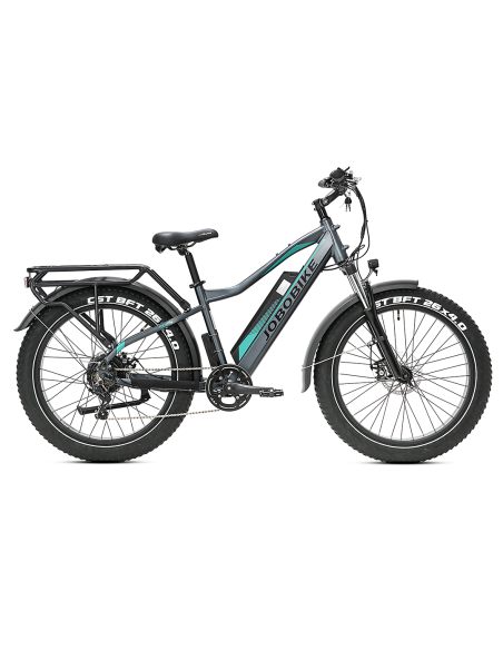 E-BIKE BICI ELETTRICA FAT BIKE MISURA 26 JOBOBIKE ROBIN PRO batteria al litio LG da 48V 20Ah MOTORE BAFANG 250W 80NM
