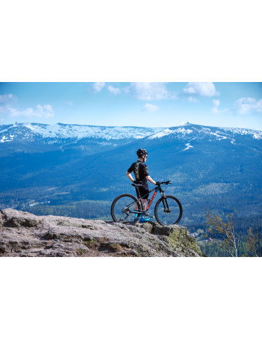 BICI MOUNTIAN BIKE MISURA 29 ROMET MONSUN TELAIO IN CARBONIO GRUPPO SHIMANO DEORE 11V MONOCORONA BICICLETTA MTB FRENI IDRAULICI