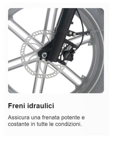 E-BIKE MISURA 20 BICICLETTA ELETTRICA PIEGHEVOLE JOBOBIKE ROMER PRO BATTERIA LG 48V 15AH MOTORE 250W 80NM FRENI A DISCO IDRAULIC