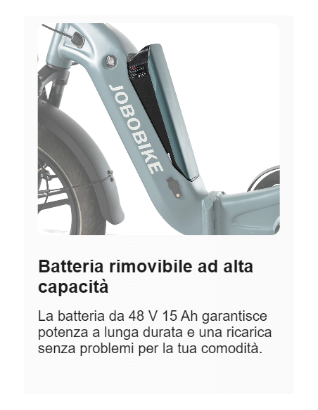E-BIKE MISURA 20 BICICLETTA ELETTRICA PIEGHEVOLE JOBOBIKE ROMER PRO BATTERIA LG 48V 15AH MOTORE 250W 80NM FRENI A DISCO IDRAULIC
