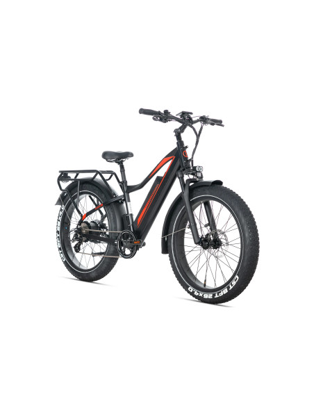 E-BIKE BICI ELETTRICA FAT BIKE MISURA 26 JOBOBIKE ROBIN PRO batteria al litio LG da 48V 20Ah MOTORE BAFANG 250W 80NM
