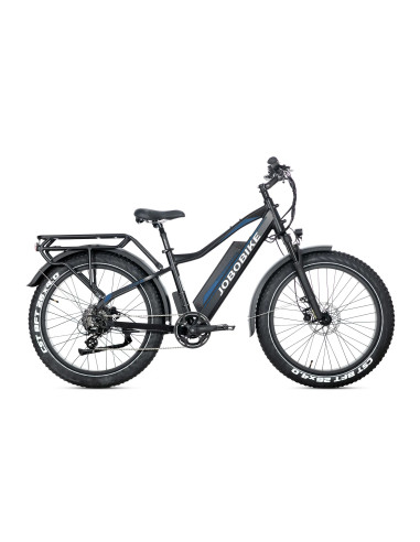 E-BIKE BICI ELETTRICA FAT BIKE MISURA 26 JOBOBIKE ROBIN PRO batteria al litio LG da 48V 20Ah MOTORE BAFANG 250W 80NM