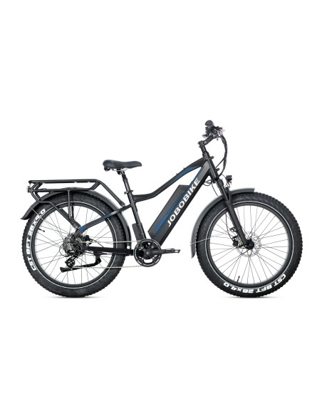 E-BIKE BICI ELETTRICA FAT BIKE MISURA 26 JOBOBIKE ROBIN PRO batteria al litio LG da 48V 20Ah MOTORE BAFANG 250W 80NM
