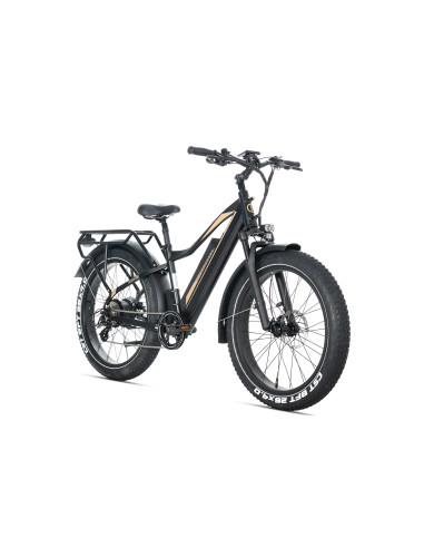 E-BIKE BICI ELETTRICA FAT BIKE MISURA 26 JOBOBIKE ROBIN PRO batteria al litio LG da 48V 20Ah MOTORE BAFANG 250W 80NM
