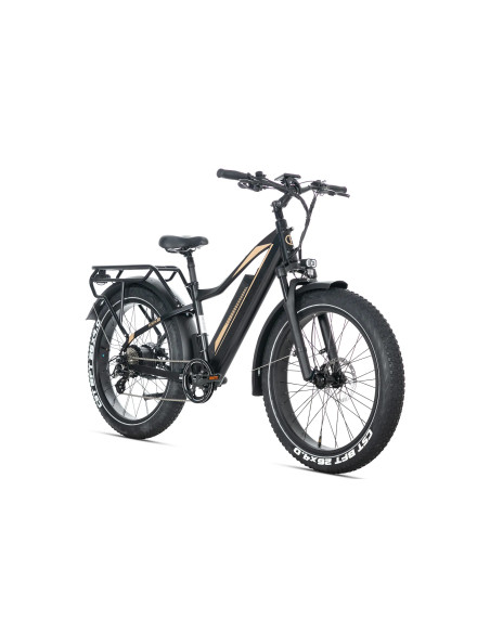 E-BIKE BICI ELETTRICA FAT BIKE MISURA 26 JOBOBIKE ROBIN PRO batteria al litio LG da 48V 20Ah MOTORE BAFANG 250W 80NM