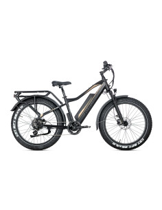 E-BIKE BICI ELETTRICA FAT BIKE MISURA 26 JOBOBIKE ROBIN PRO batteria al litio LG da 48V 20Ah MOTORE BAFANG 250W 80NM 2