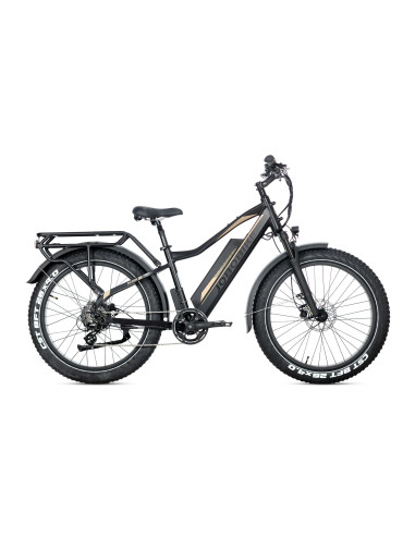 E-BIKE BICI ELETTRICA FAT BIKE MISURA 26 JOBOBIKE ROBIN PRO batteria al litio LG da 48V 20Ah MOTORE BAFANG 250W 80NM