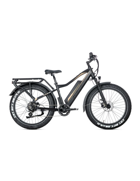 E-BIKE BICI ELETTRICA FAT BIKE MISURA 26 JOBOBIKE ROBIN PRO batteria al litio LG da 48V 20Ah MOTORE BAFANG 250W 80NM