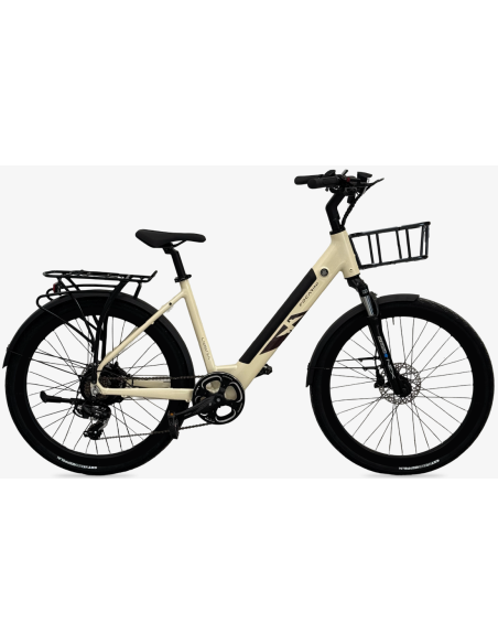 BICI ELETTRICA MISURA 26 DONNA BICICLETTA PEDALATA ASSISTITA CITY BIKE Focarini Libera MOTORE Xofo BATTERIA 13,8AH 36V