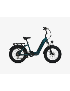 BICI ELETTRICA FAT BIKE MISURA 20 E-BIKE Focarini Panda BICICLETTA OMOLOGATA MOTORE ANANDA 250W 48V BATTERIA INTEGRATA 18AH