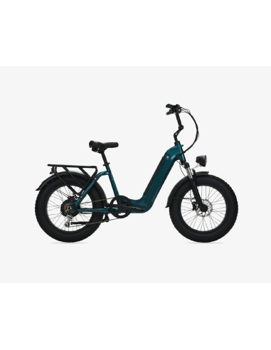 BICI ELETTRICA FAT BIKE MISURA 20 E-BIKE Focarini Panda BICICLETTA OMOLOGATA MOTORE ANANDA 250W 48V BATTERIA INTEGRATA 18AH