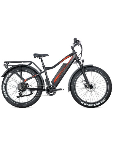 E-BIKE BICI ELETTRICA FAT BIKE MISURA 26 JOBOBIKE ROBIN PRO batteria al litio LG da 48V 20Ah MOTORE BAFANG 250W 80NM