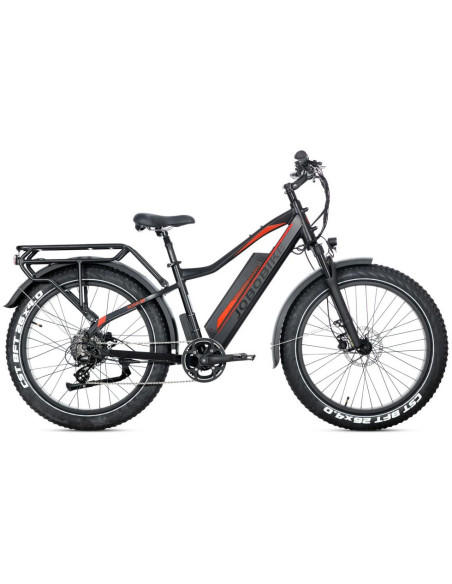 E-BIKE BICI ELETTRICA FAT BIKE MISURA 26 JOBOBIKE ROBIN PRO batteria al litio LG da 48V 20Ah MOTORE BAFANG 250W 80NM
