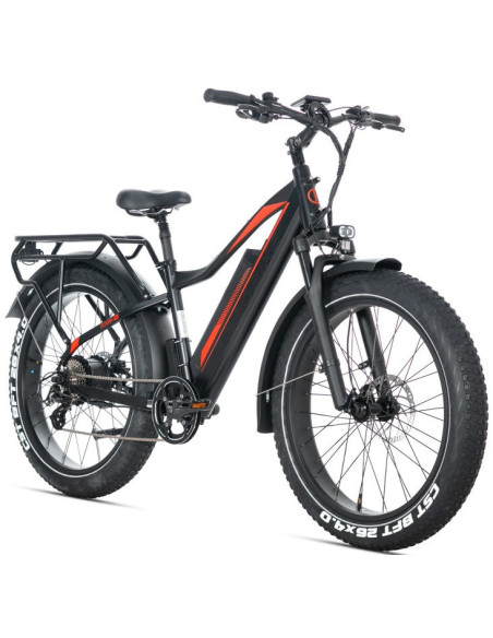 E-BIKE BICI ELETTRICA FAT BIKE MISURA 26 JOBOBIKE ROBIN PRO batteria al litio LG da 48V 20Ah MOTORE BAFANG 250W 80NM