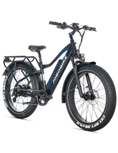 E-BIKE BICI ELETTRICA FAT BIKE MISURA 26 JOBOBIKE ROBIN PRO batteria al litio LG da 48V 20Ah MOTORE BAFANG 250W 80NM