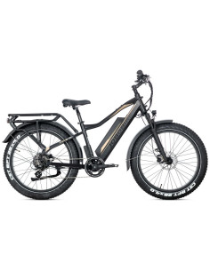 E-BIKE BICI ELETTRICA FAT BIKE MISURA 26 JOBOBIKE ROBIN PRO batteria al litio LG da 48V 20Ah MOTORE BAFANG 250W 80NM 2