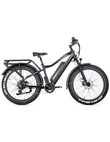 E-BIKE BICI ELETTRICA FAT BIKE MISURA 26 JOBOBIKE ROBIN PRO batteria al litio LG da 48V 20Ah MOTORE BAFANG 250W 80NM