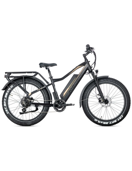 E-BIKE BICI ELETTRICA FAT BIKE MISURA 26 JOBOBIKE ROBIN PRO batteria al litio LG da 48V 20Ah MOTORE BAFANG 250W 80NM