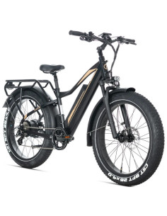 E-BIKE BICI ELETTRICA FAT BIKE MISURA 26 JOBOBIKE ROBIN PRO batteria al litio LG da 48V 20Ah MOTORE BAFANG 250W 80NM