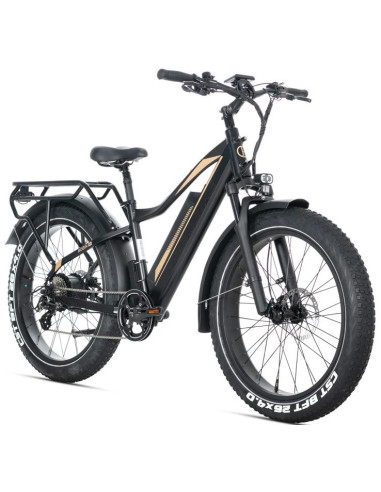 E-BIKE BICI ELETTRICA FAT BIKE MISURA 26 JOBOBIKE ROBIN PRO batteria al litio LG da 48V 20Ah MOTORE BAFANG 250W 80NM