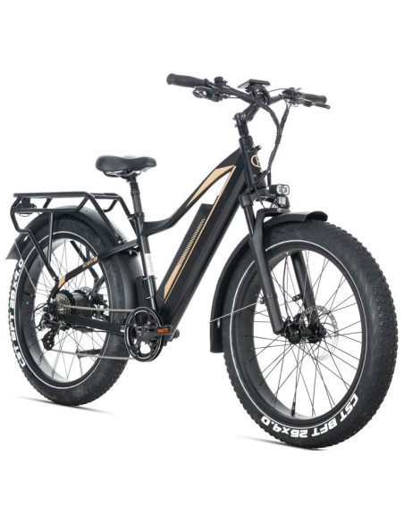 E-BIKE BICI ELETTRICA FAT BIKE MISURA 26 JOBOBIKE ROBIN PRO batteria al litio LG da 48V 20Ah MOTORE BAFANG 250W 80NM