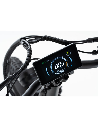 BICI E-BIKE 20 FAT BIKE MONROAD TANKAN T1 BICICLETTA PIEGHEVOLE ALLUMINIO BATTERIA 48V 17,5AH MOTORE ANANDA 250W BIAMMORTIZZATA