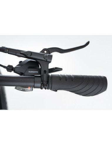 BICI E-BIKE 20 FAT BIKE MONROAD TANKAN T1 BICICLETTA PIEGHEVOLE ALLUMINIO BATTERIA 48V 17,5AH MOTORE ANANDA 250W BIAMMORTIZZATA