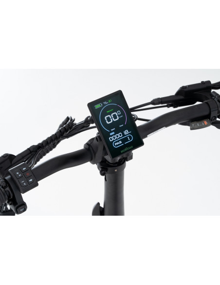 BICI E-BIKE 20 FAT BIKE MONROAD TANKAN T2 BICICLETTA PIEGHEVOLE ALLUMINIO BATTERIA INTEGRATA 48V 13AH MOTORE ANANDA 250W
