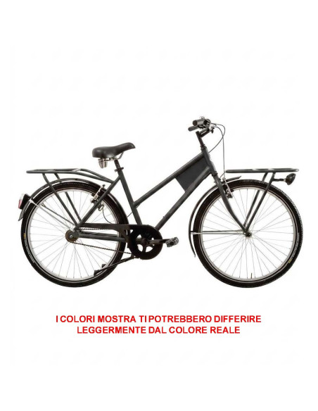 BICI LINEA CANTIERE MISURA 26 BICICLETTA SENZA CAMBIO 1V CON GOMME ANTIFORO CNT26 COMPLETA DI ACCESSORI CON LUCI A LED